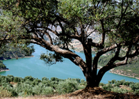 Lac dans la région de Ketama